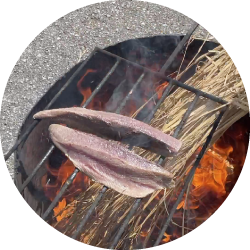 藁焼き師がかつおの1本1本を目利き