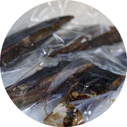 添付品を最小限にしてコストを削減