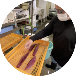 創業25年の水産加工会社で品質管理を徹底