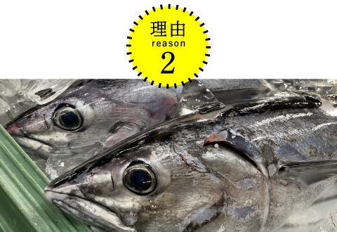 日本各地から高知へ