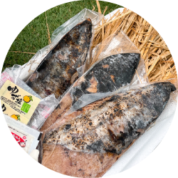 藁付きかつおの藁焼きたたきセット販売開始！